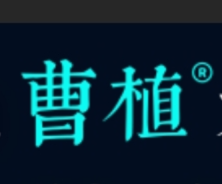 达观数据曹植 垂直化语言大模型